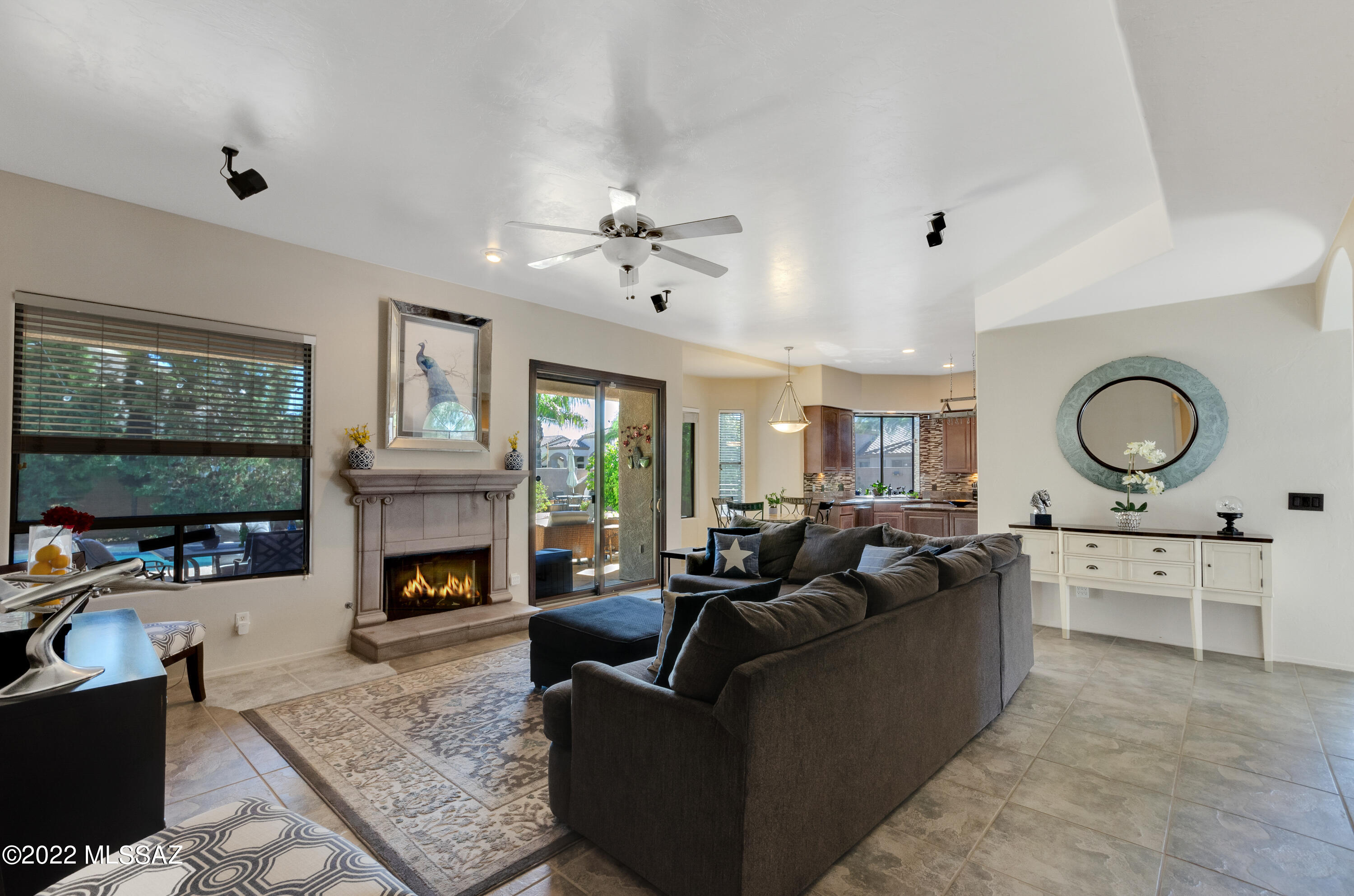 249 W Milbrae Springs Drive