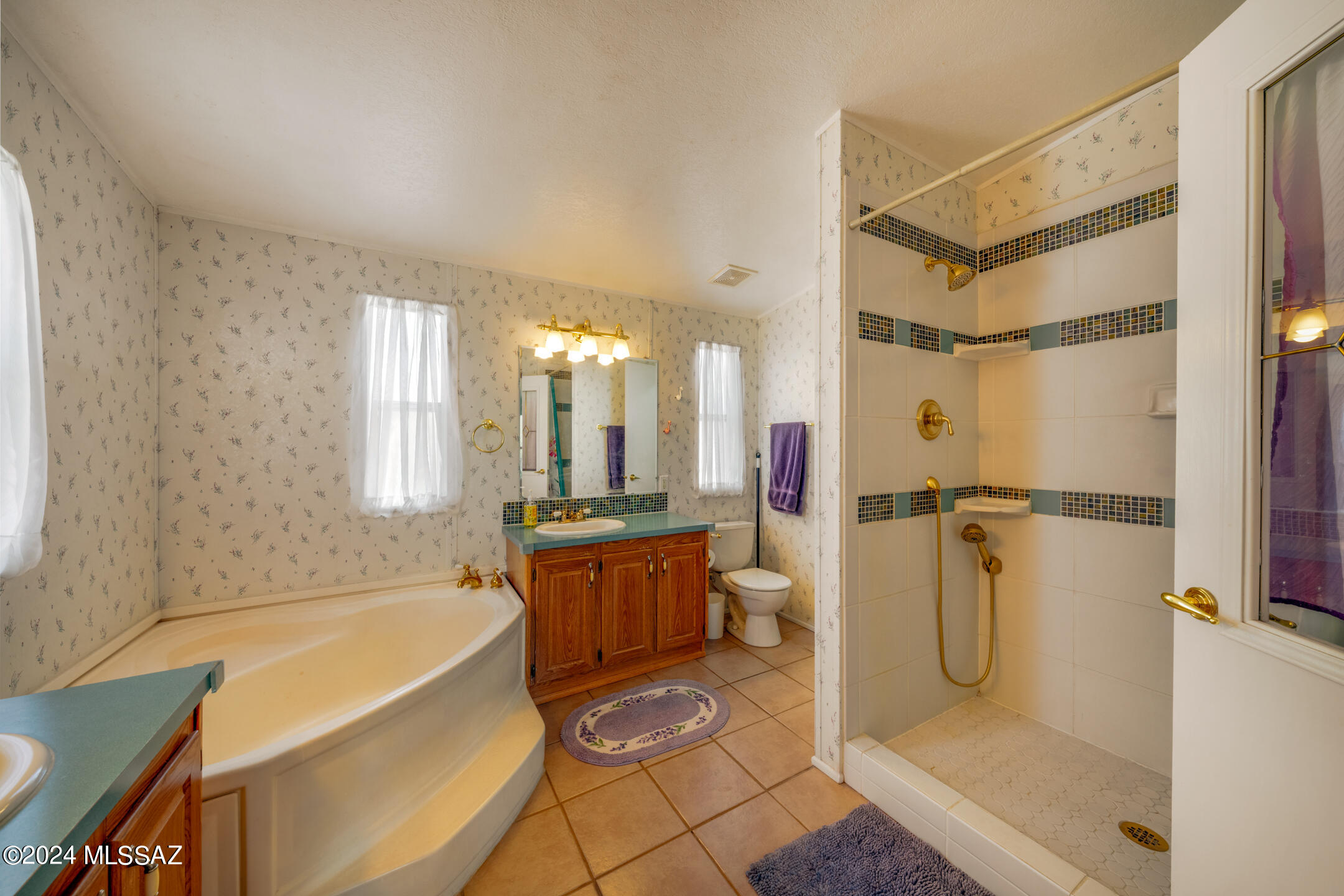 10123 W Horse Mesa Trail