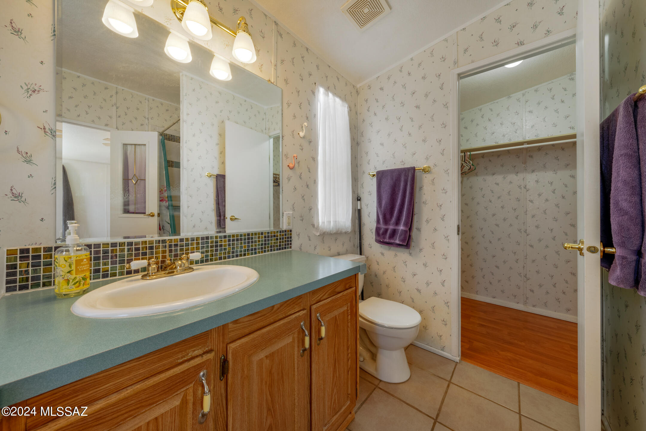 10123 W Horse Mesa Trail