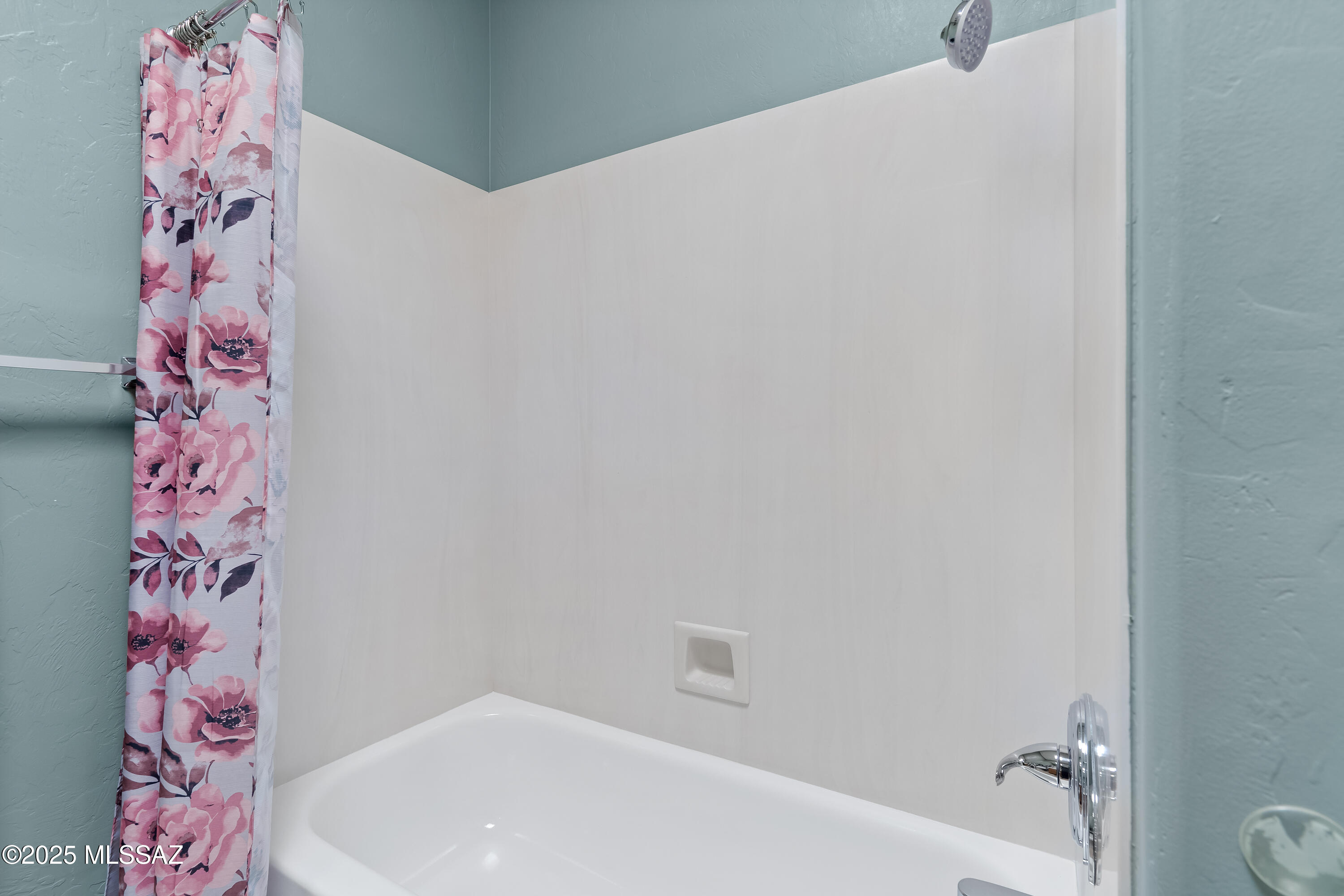 596 E Wine Plum Drive