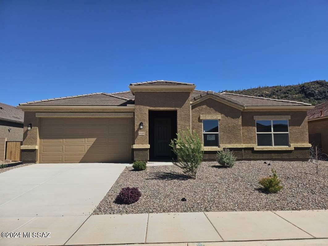 10217 N Black Dalea Drive