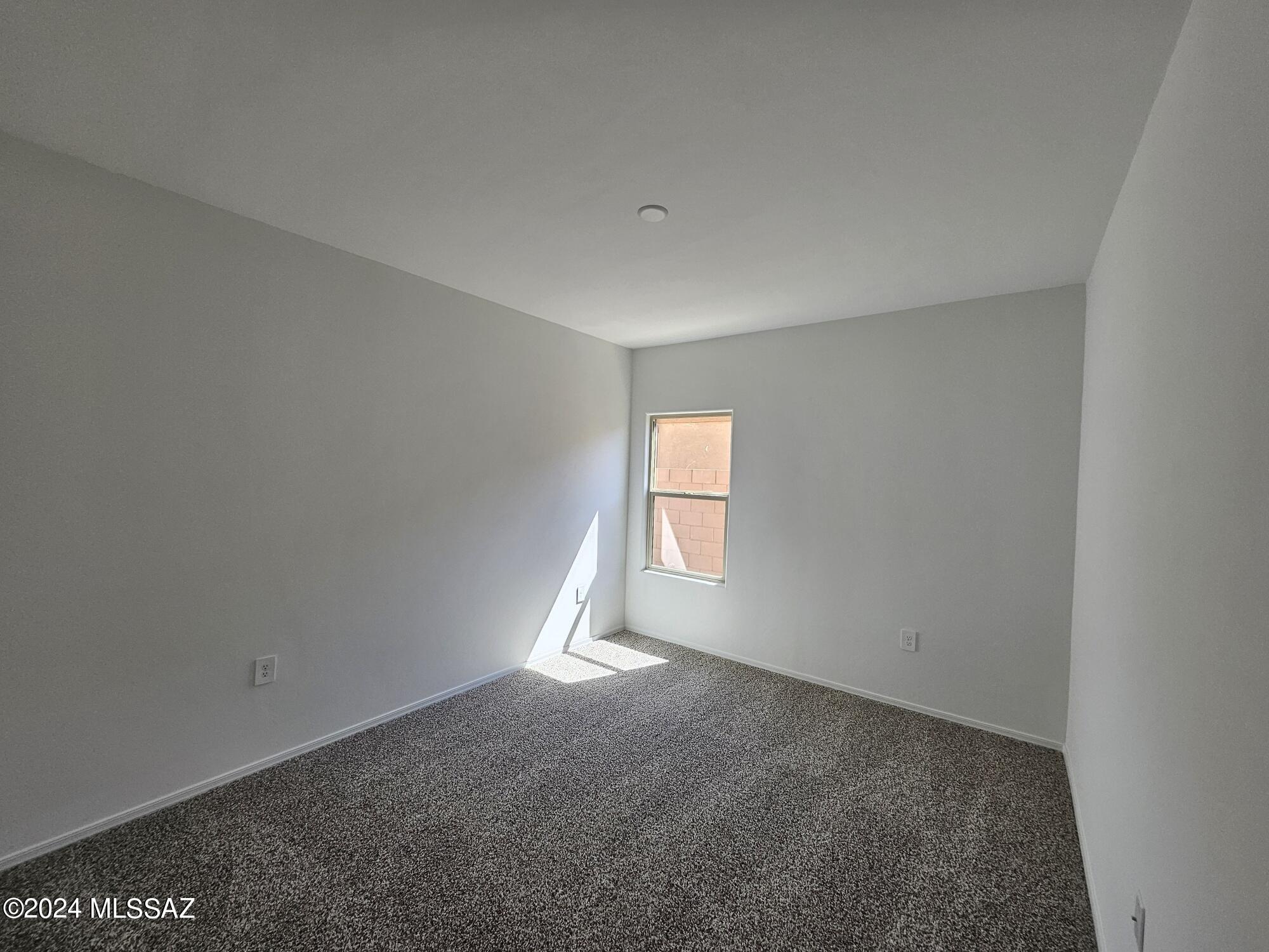 10217 N Black Dalea Drive