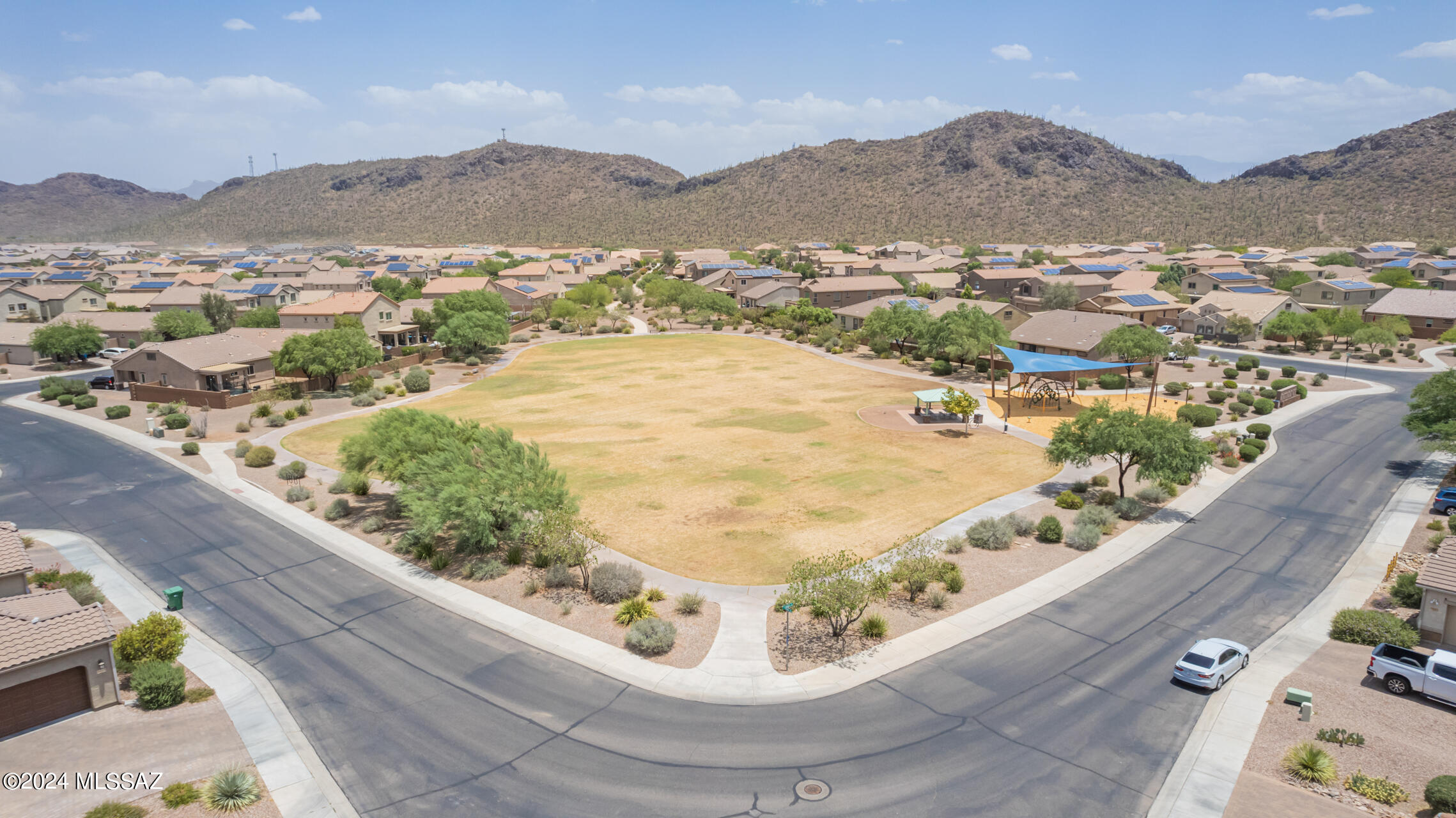 10217 N Black Dalea Drive