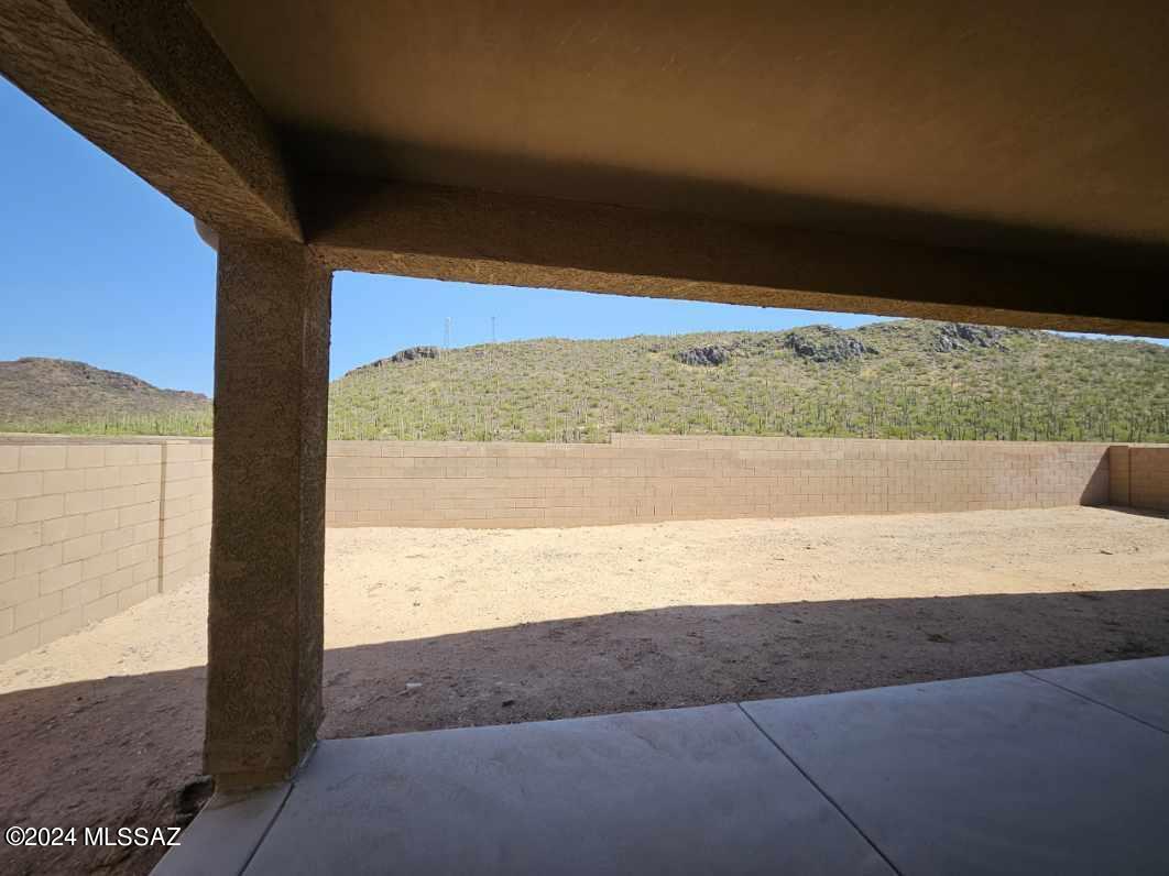 10217 N Black Dalea Drive