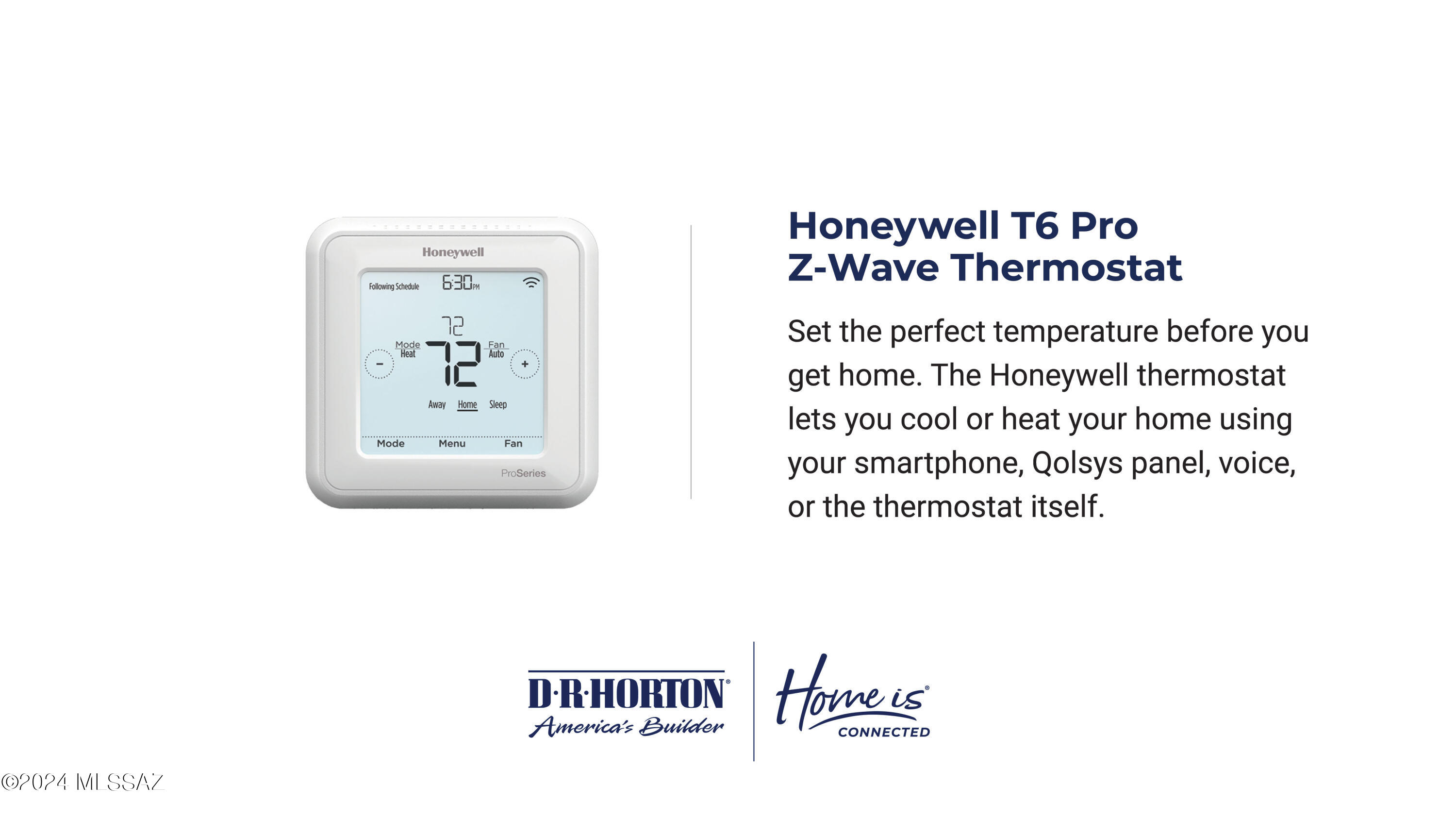 10217 N Black Dalea Drive