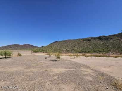 10217 N Black Dalea Drive