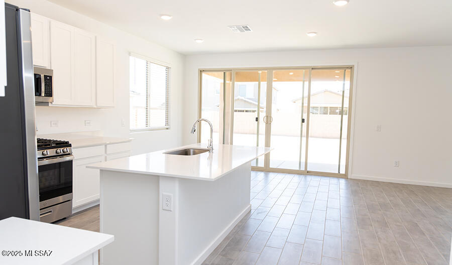 765 W Calle Las Varitas