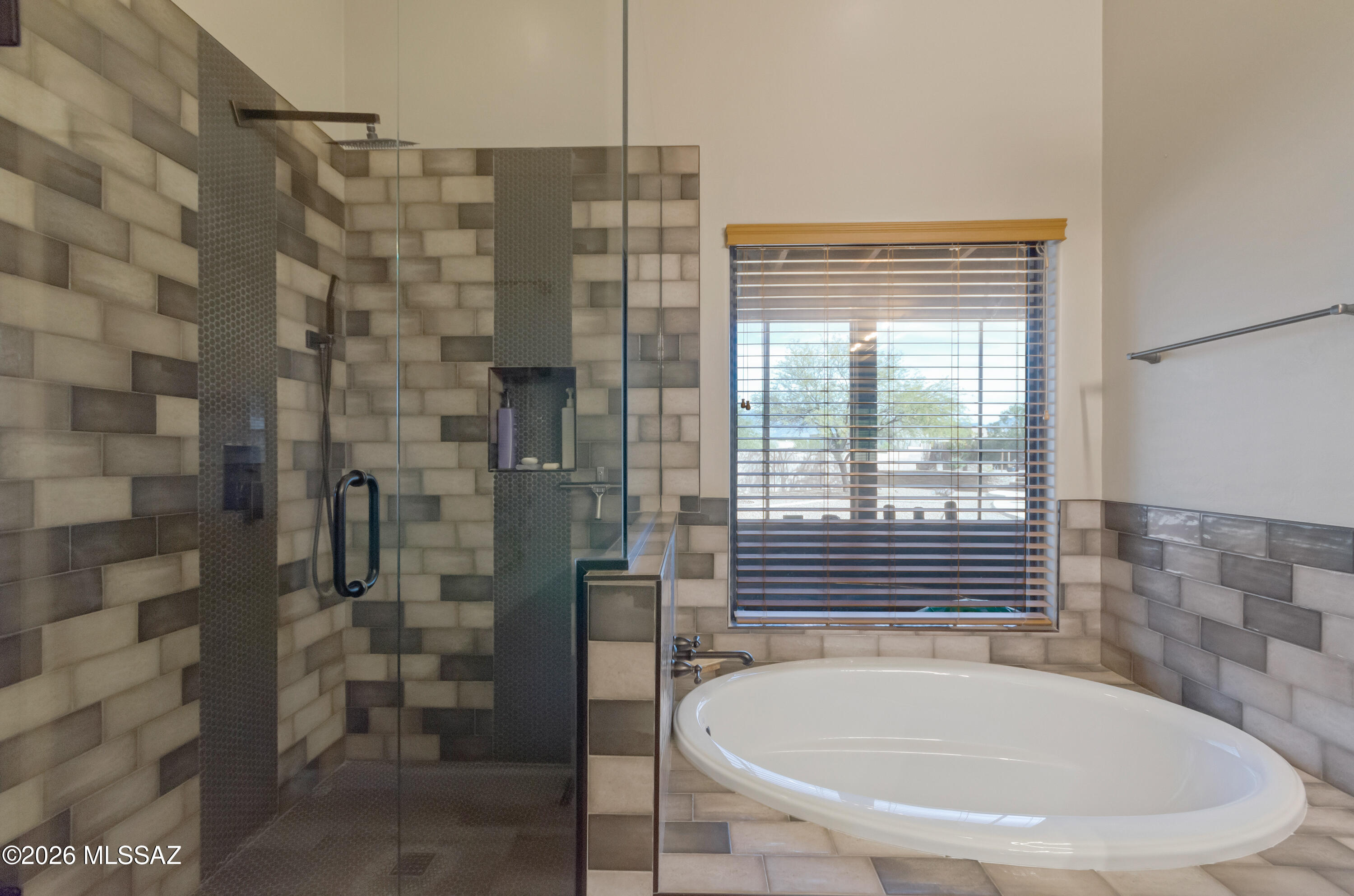 9389 S Avenida Mochuelo