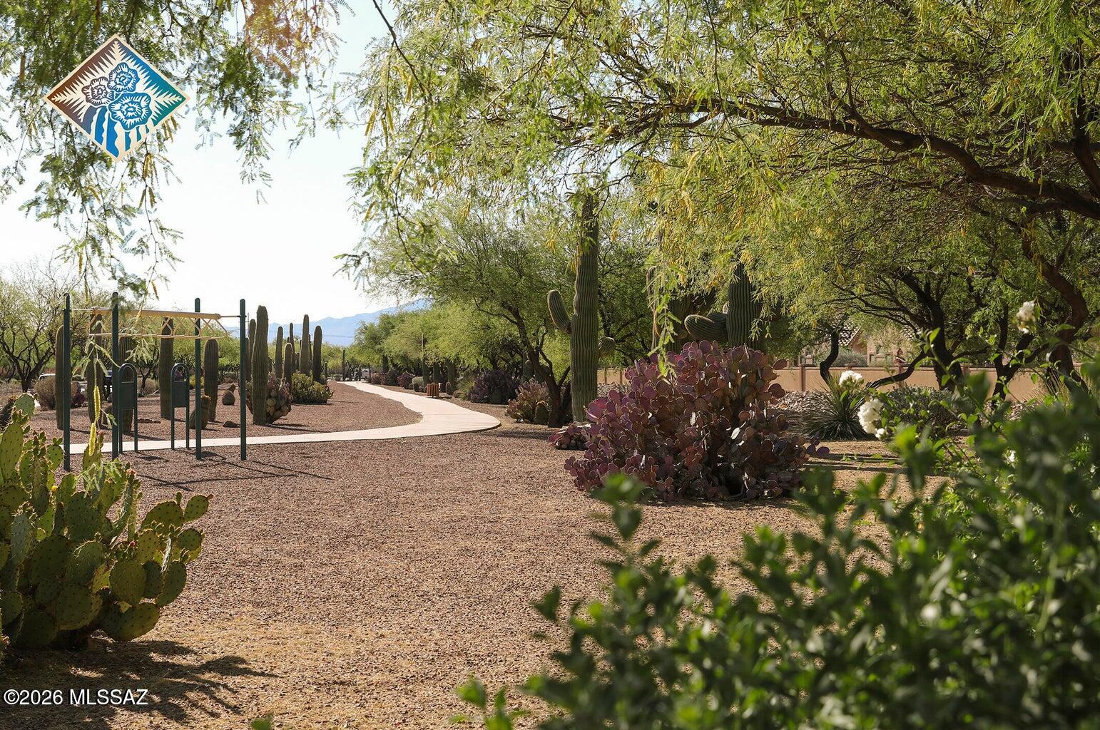 62 E Camino Limon Verde