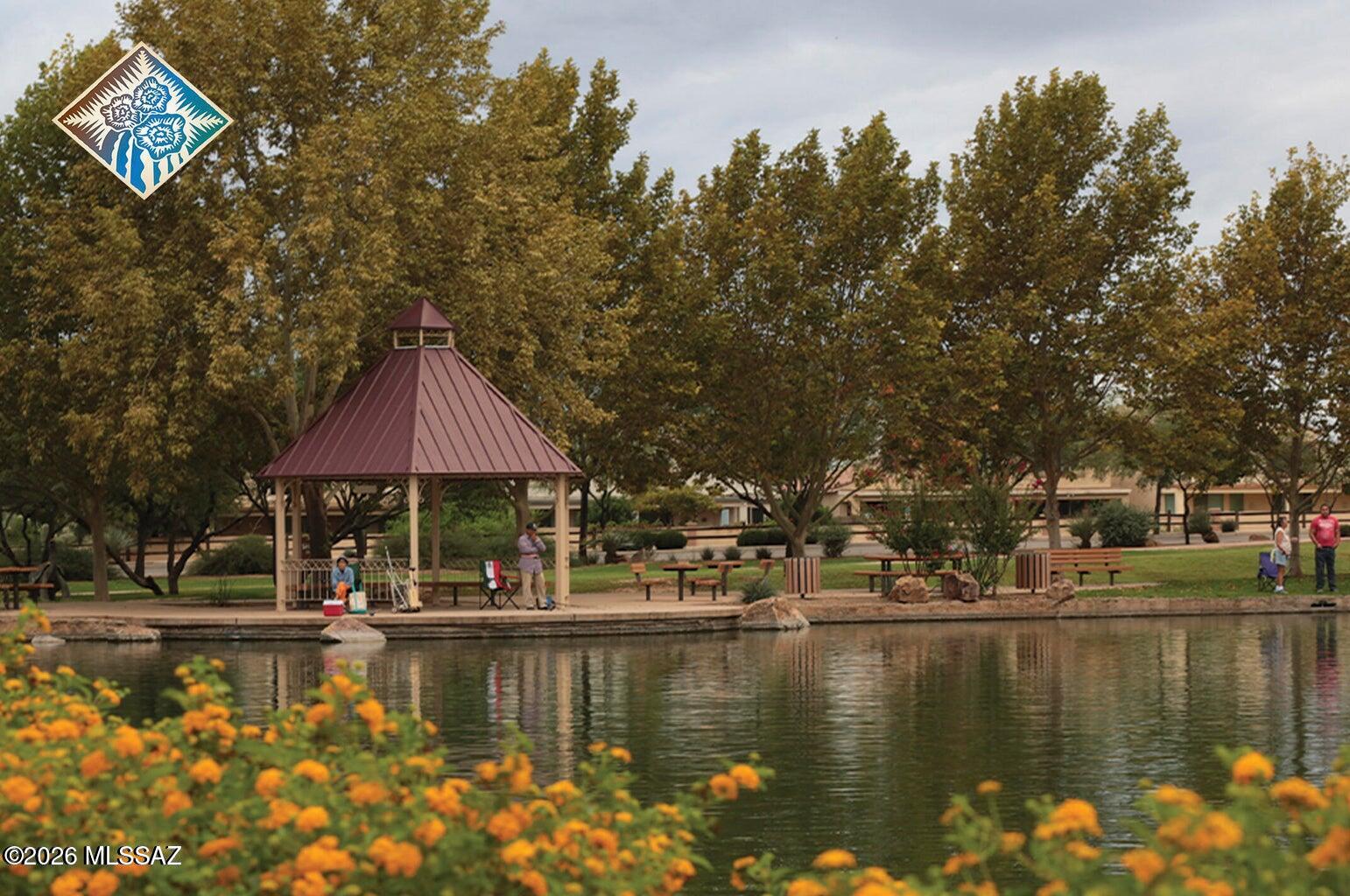 62 E Camino Limon Verde