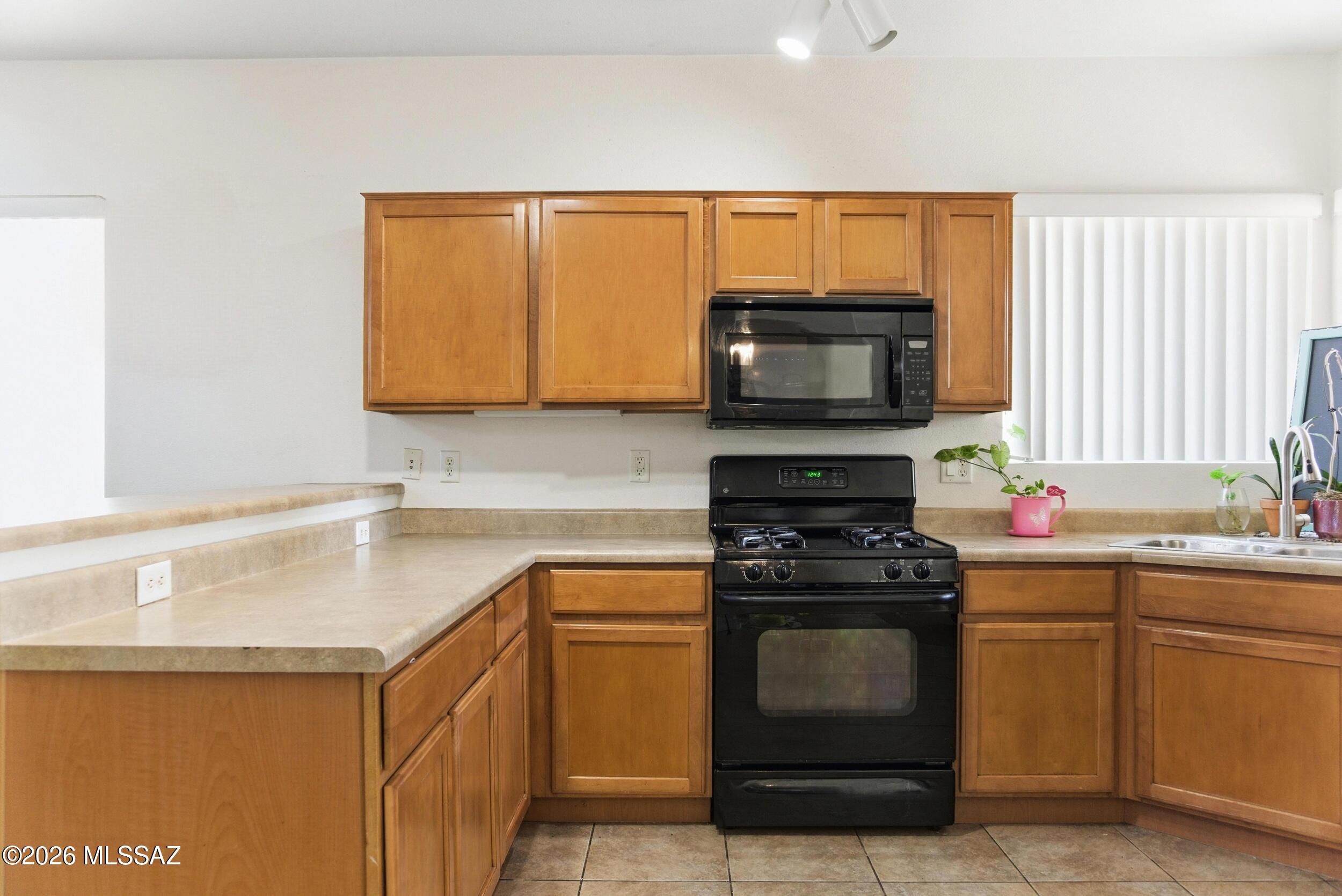 62 E Camino Limon Verde