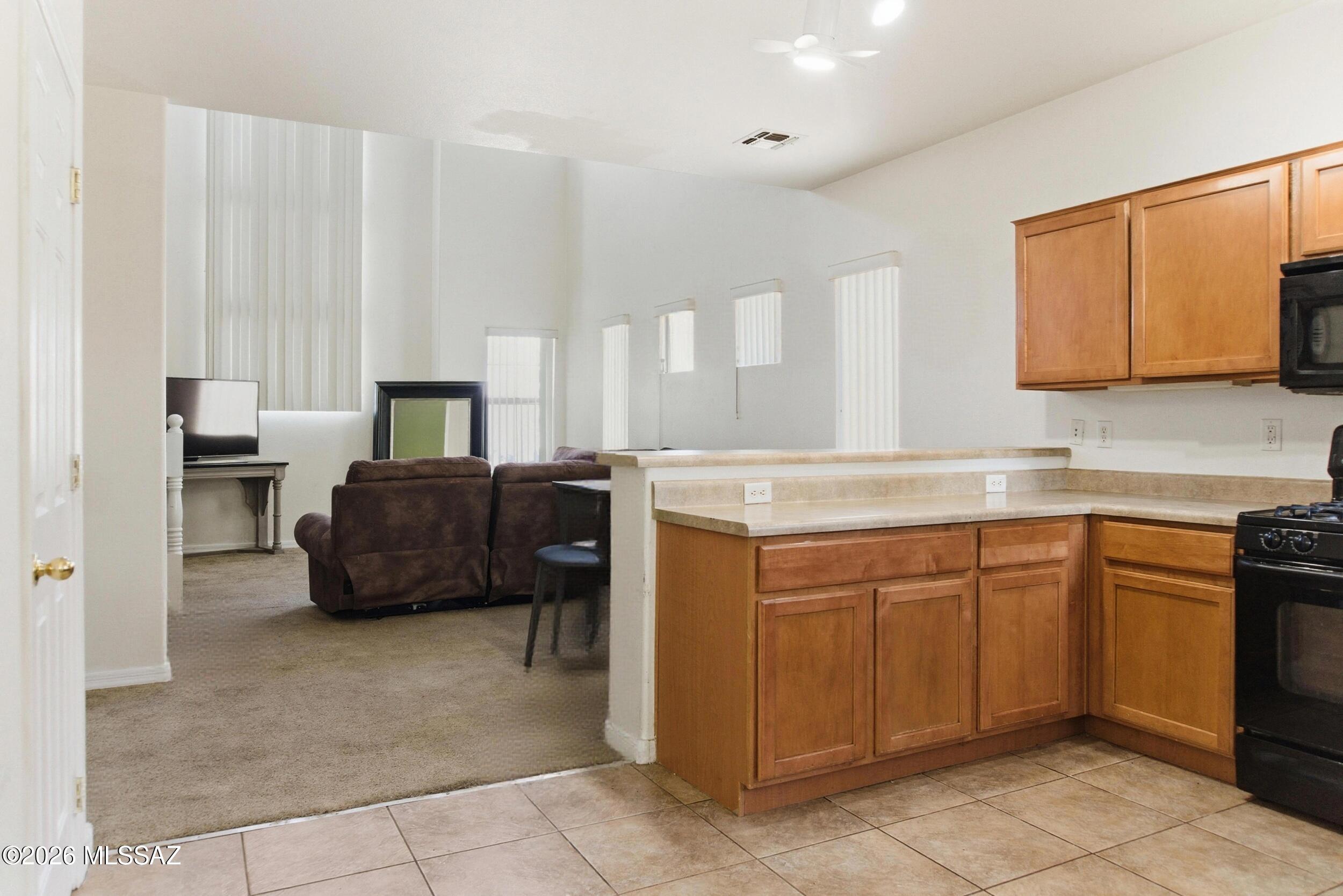 62 E Camino Limon Verde