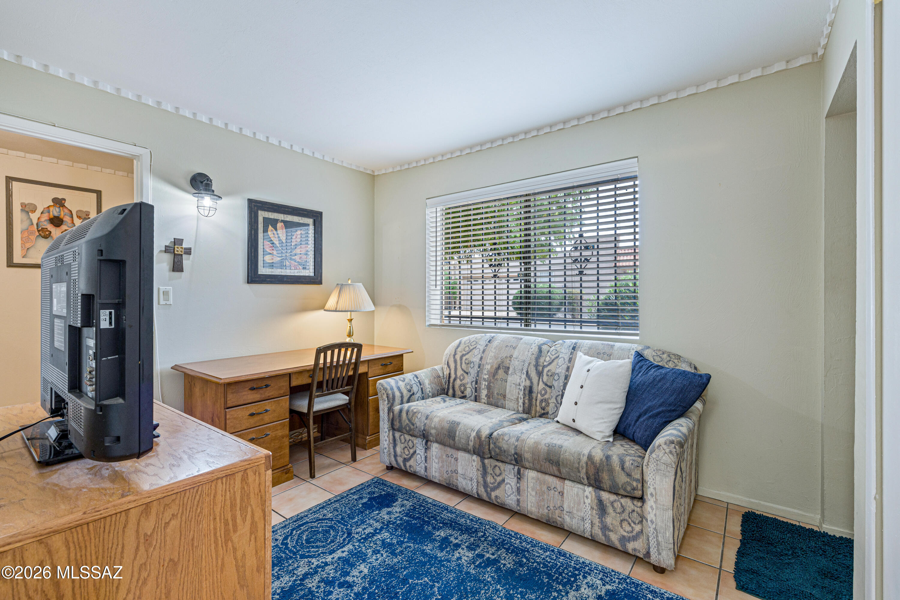 Furnished den with patterned sofa, wooden desk, television, and blue area rug.