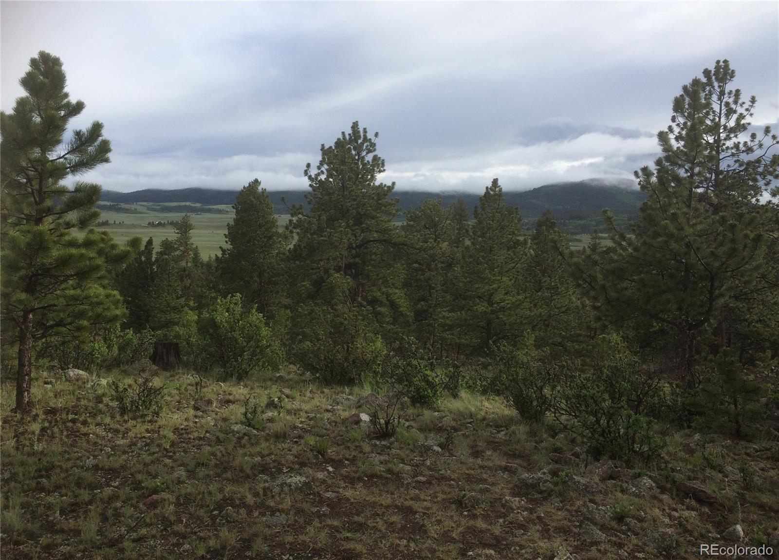 Rocky wooded hillside overlooking a green valley and cloud-covered mountains.
