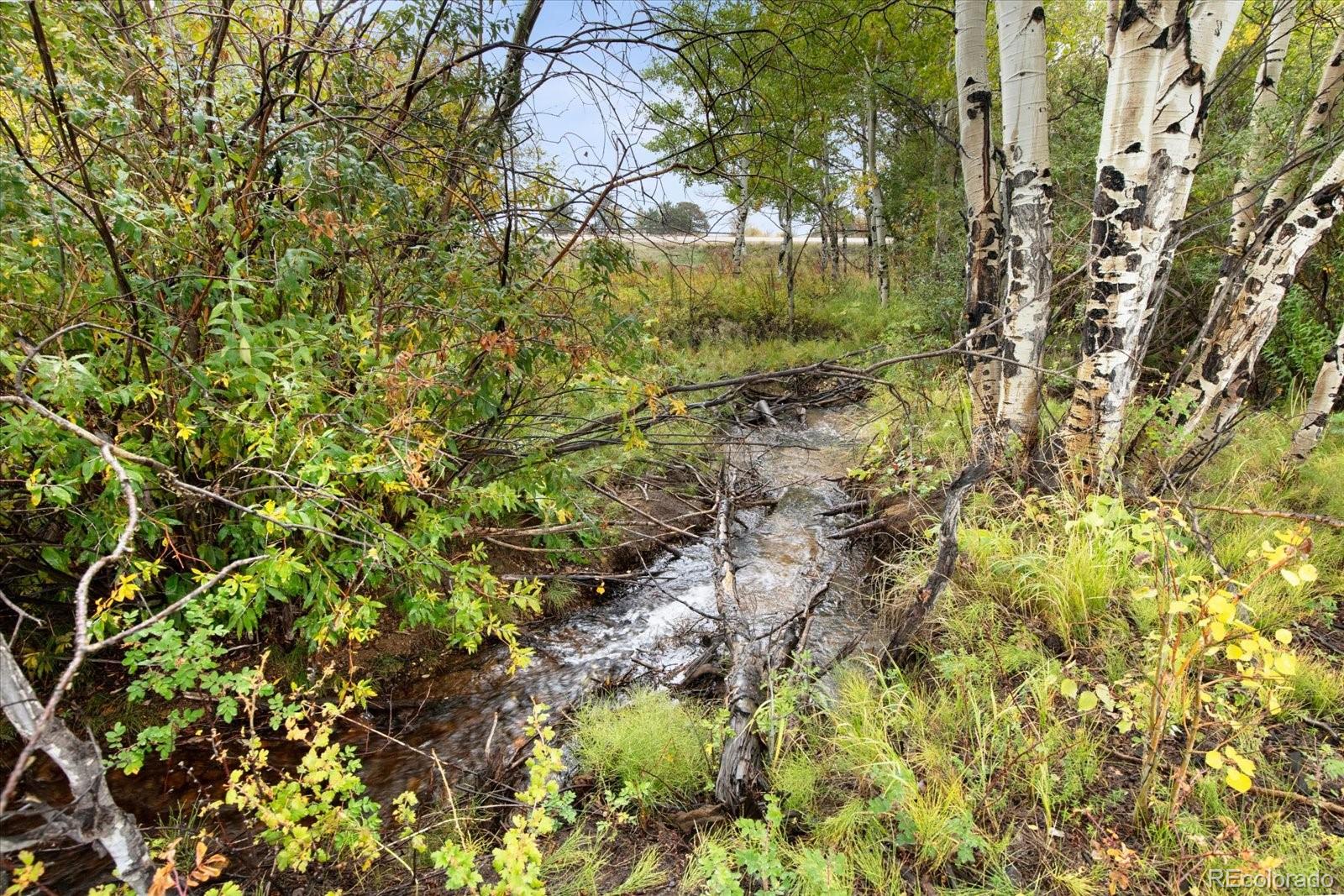 A creek winds through autumn grasses and aspen trees on the property.