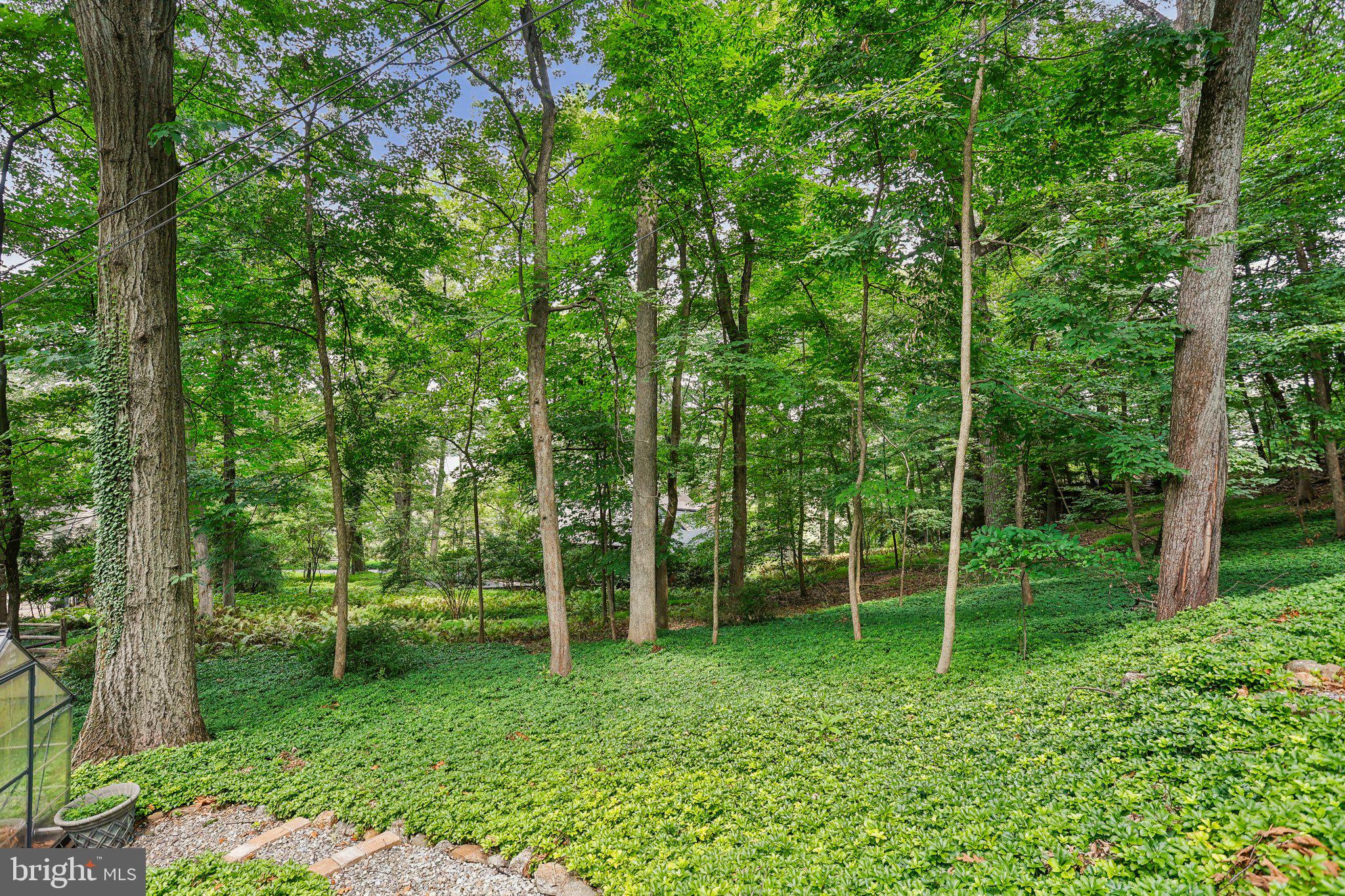 435 N PINE TOP PLACE