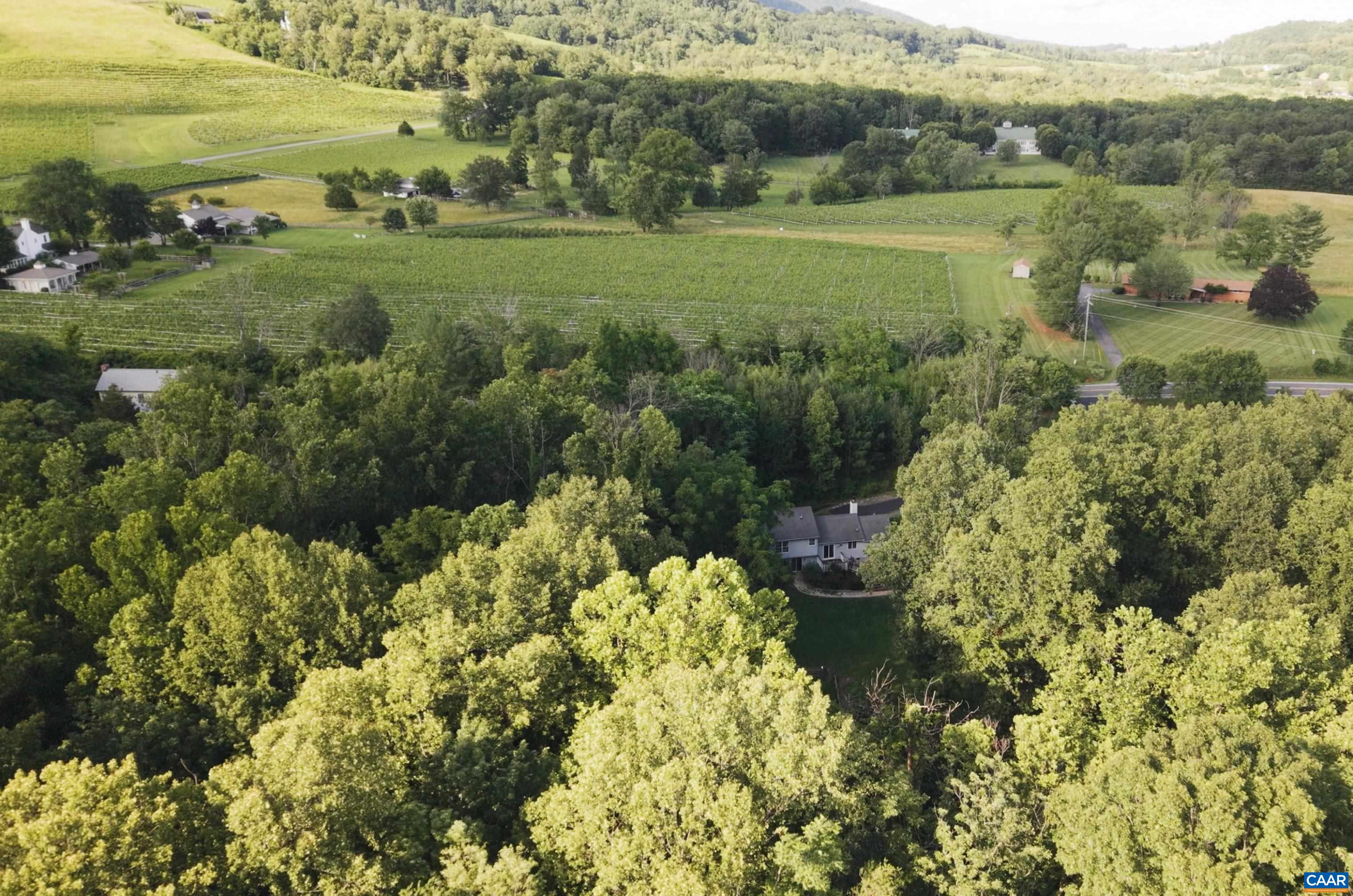 1203 MOUNTAIN RD