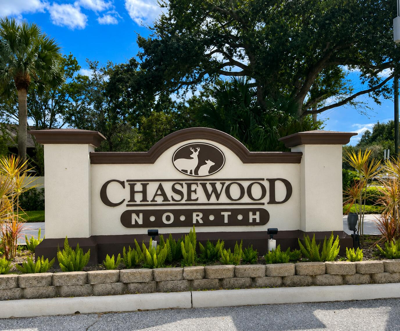 6519 Chasewood Drive D