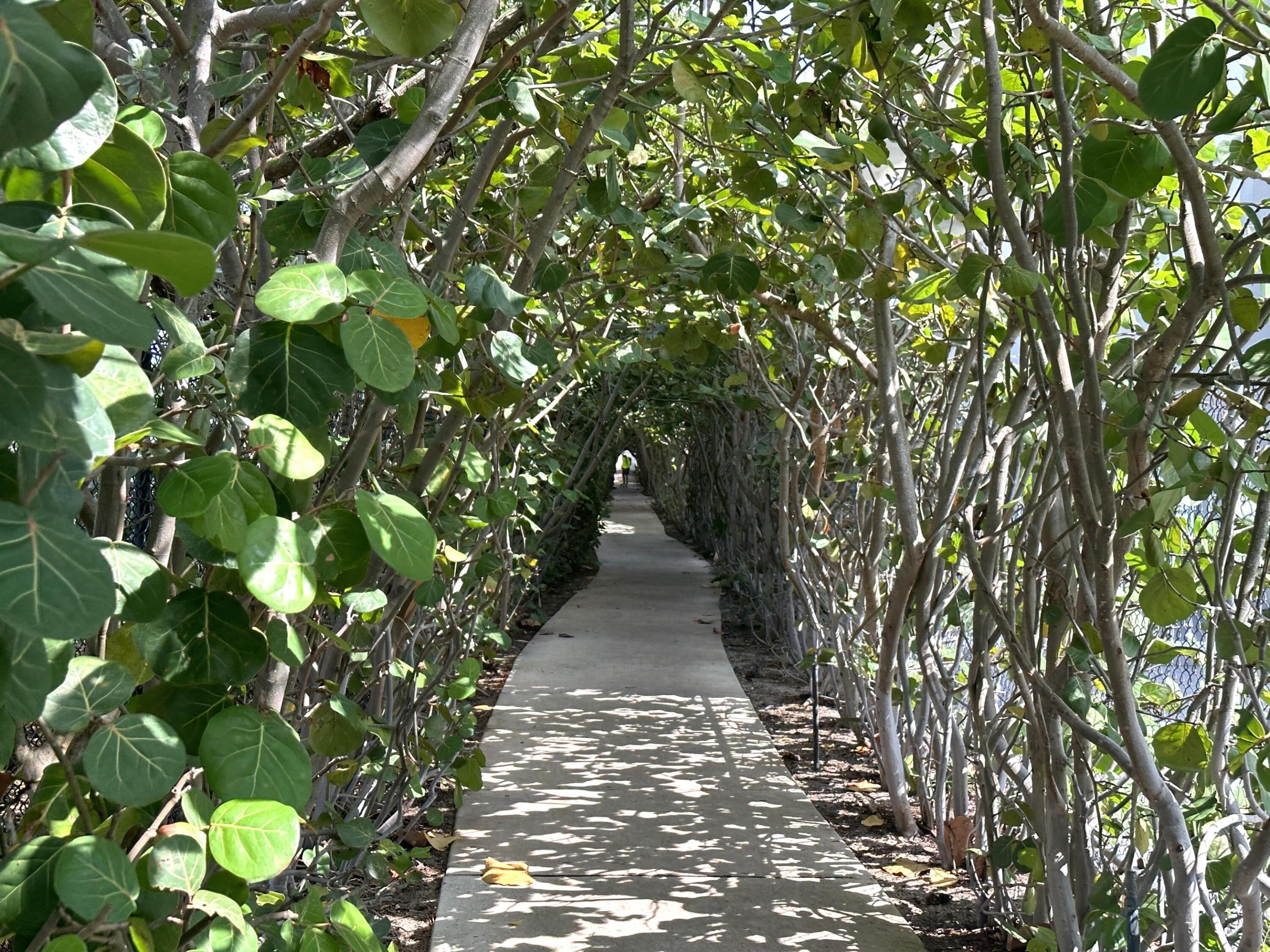 101 Linda Lane Unit: 25