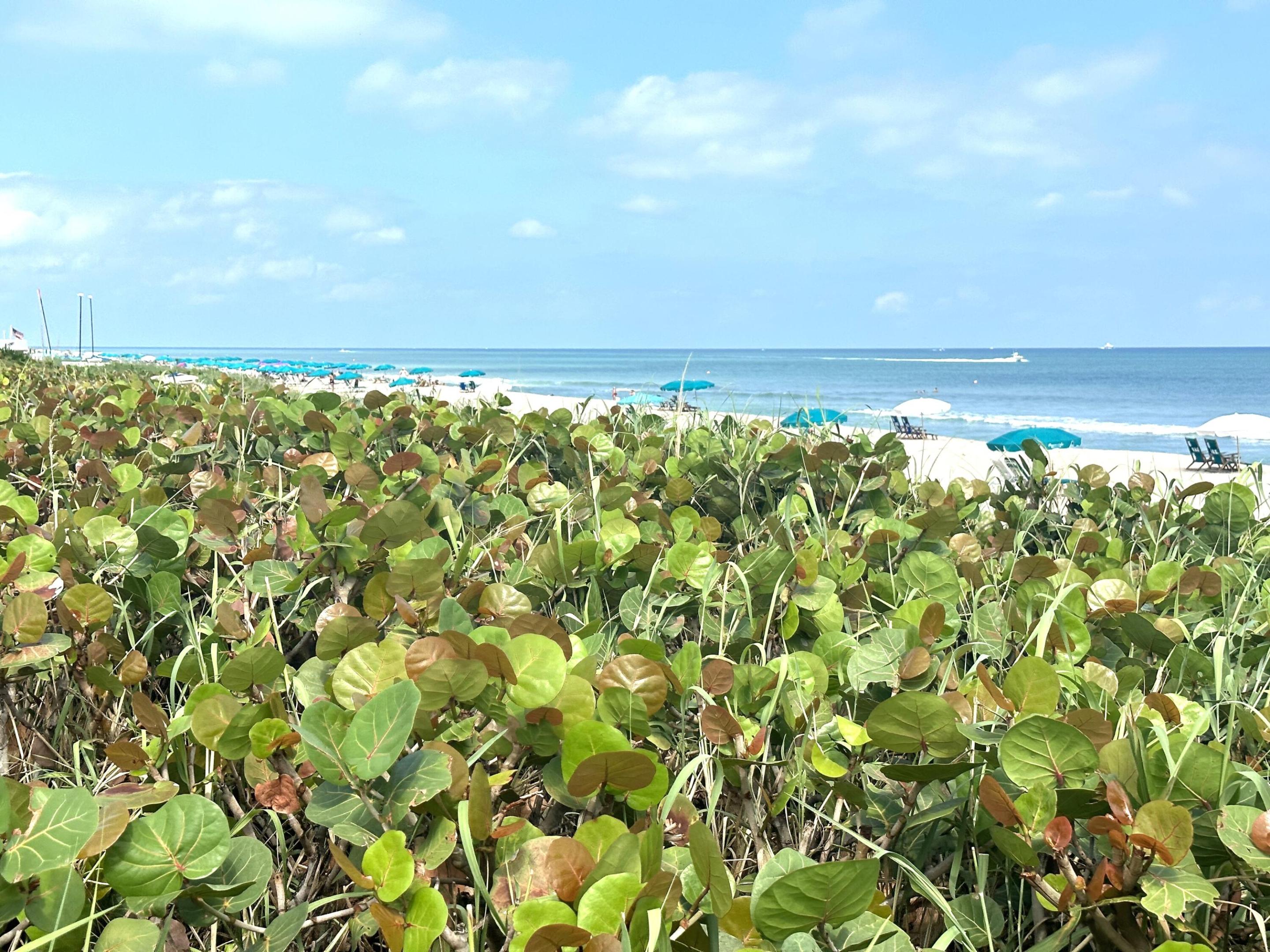 101 Linda Lane Unit: 25