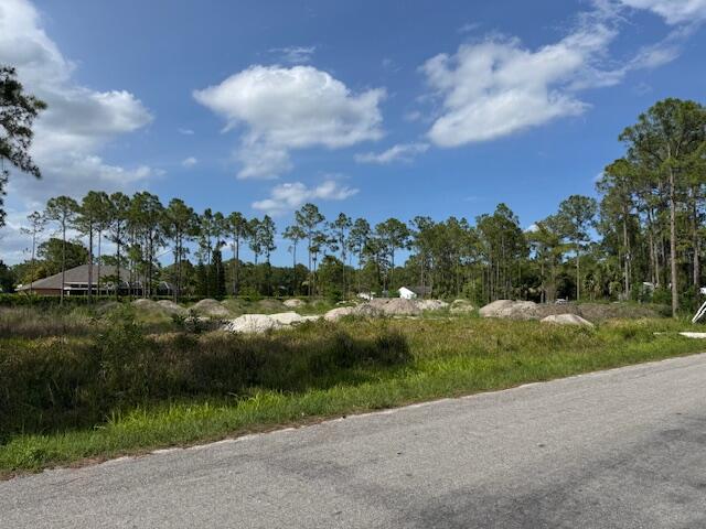 16773 78th Road N