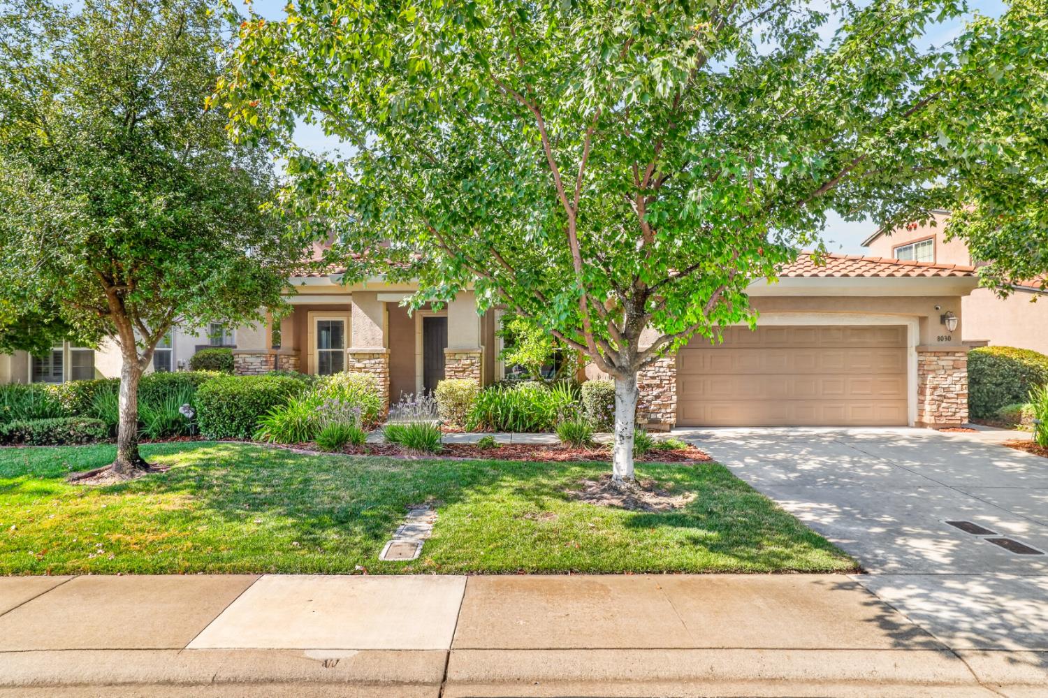 8030 Damico Drive