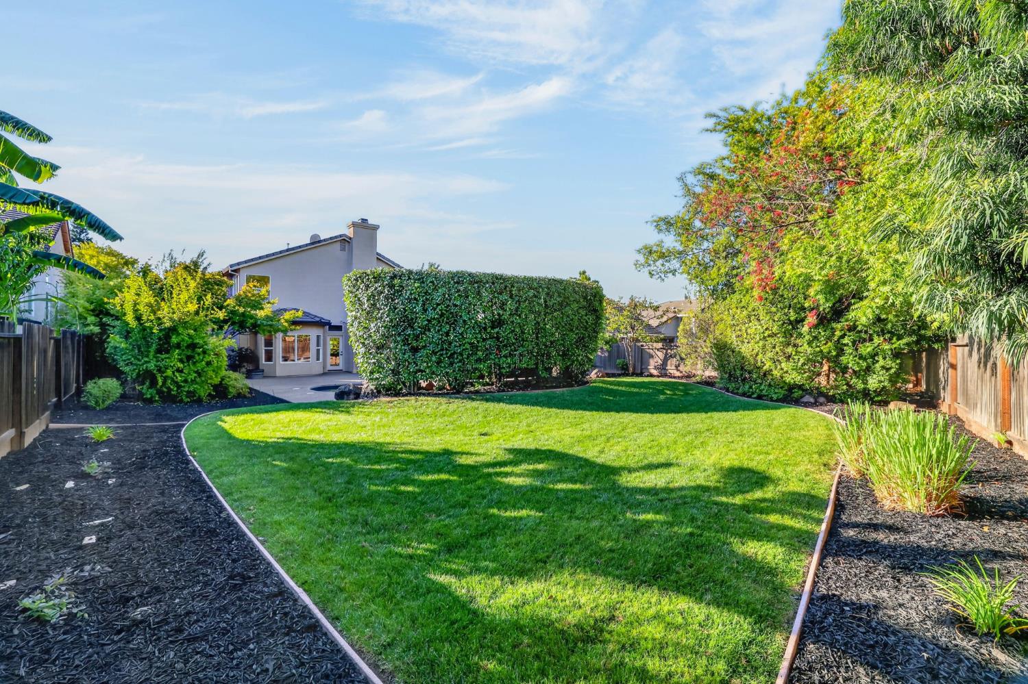 Landscaped backyard with a broad lawn, mature trees, and a hedge beside the house.