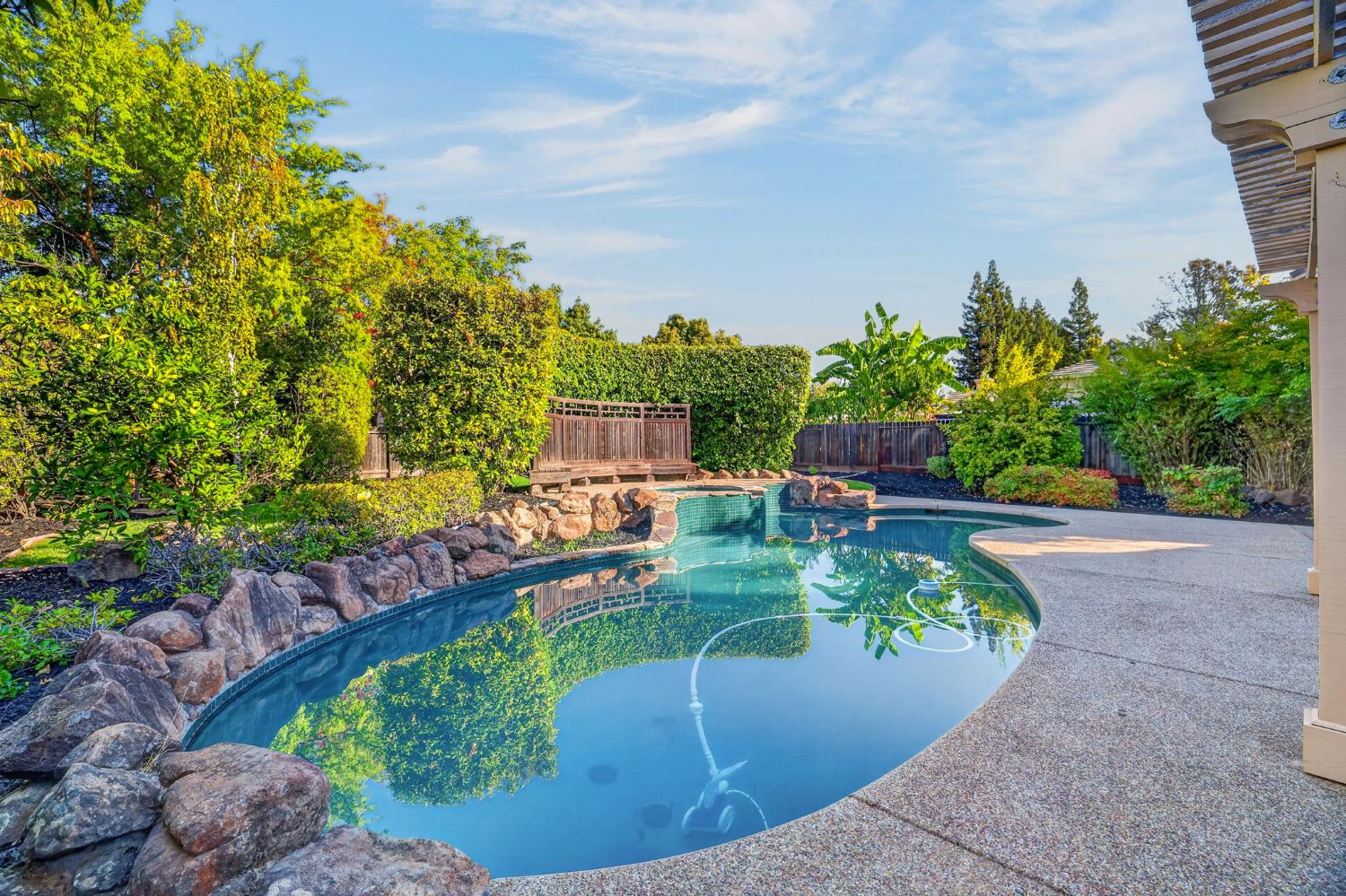 Backyard swimming pool with a curved rock border and lush landscaping.