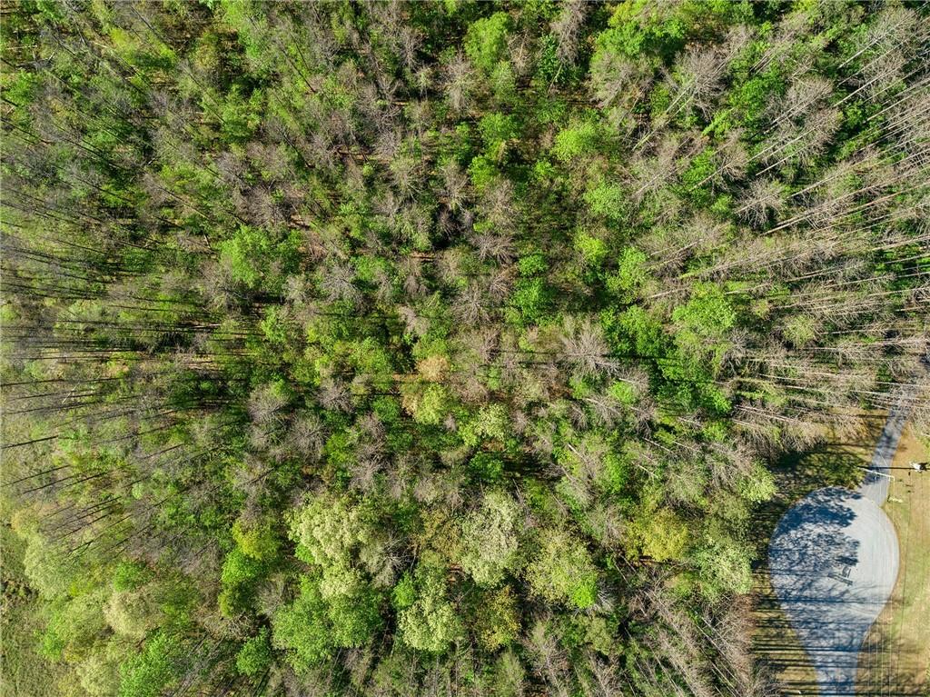 11 Harris Loop