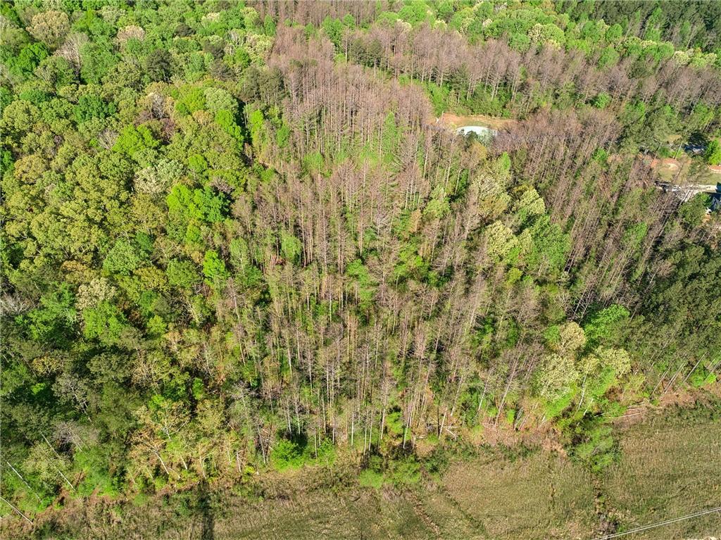 11 Harris Loop