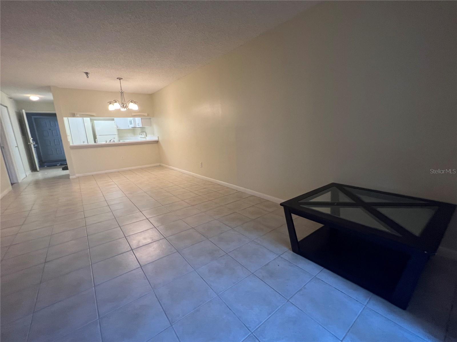 15215 AMBERLY DR #205