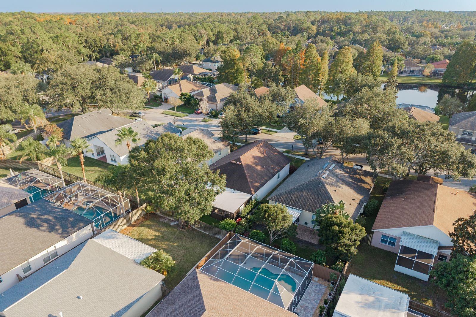 11811 EASTHAMPTON DR
