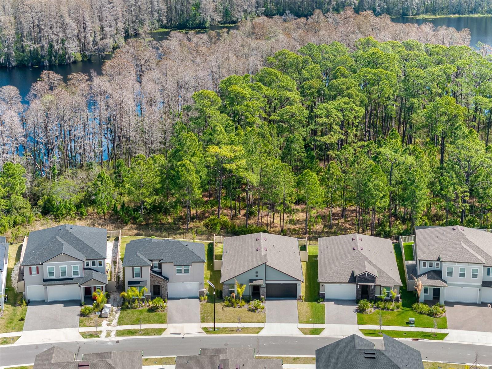 18178 SERENE LAKE LOOP