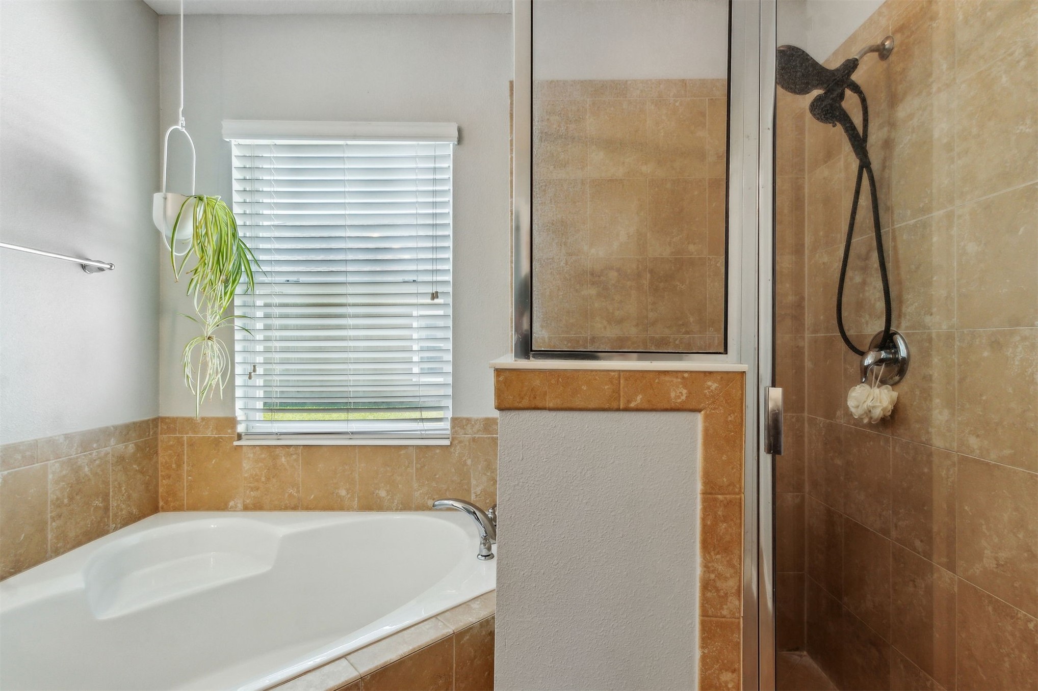 95297 WINDFLOWER TRAIL