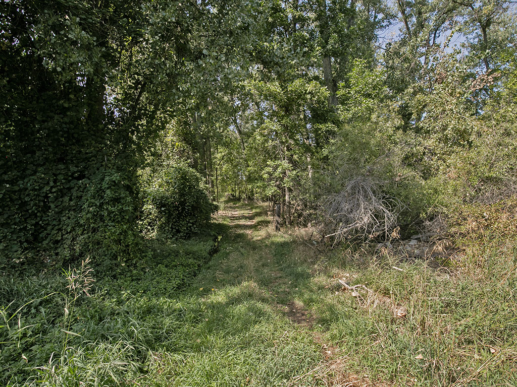TBD Wilkins Road