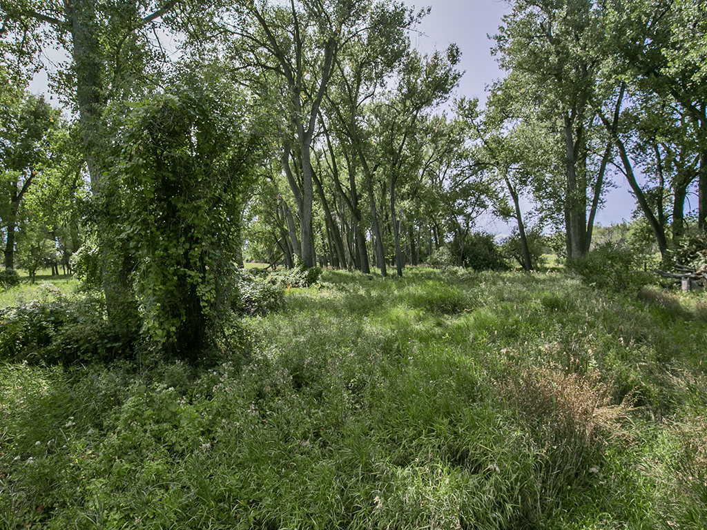 TBD Wilkins Road