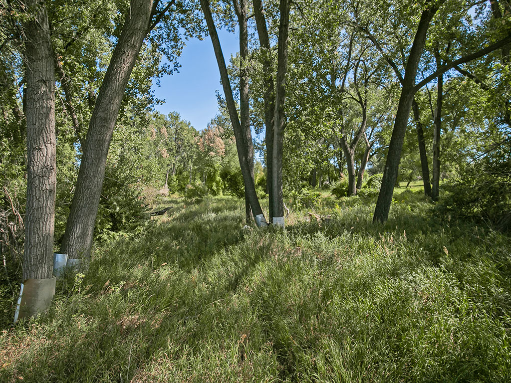 TBD Wilkins Road
