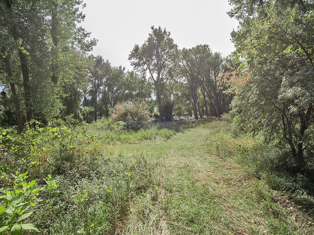 TBD Wilkins Road