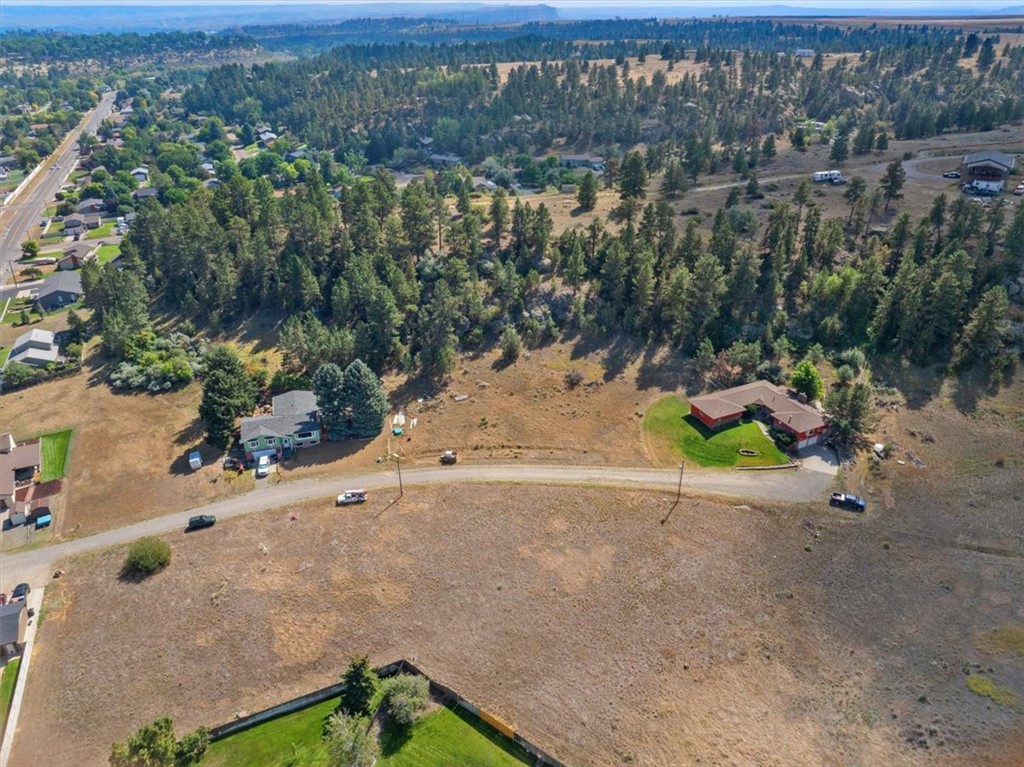 TBD Pine Tree Drive