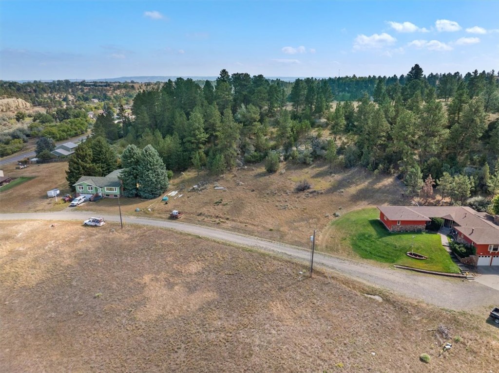 TBD Pine Tree Drive