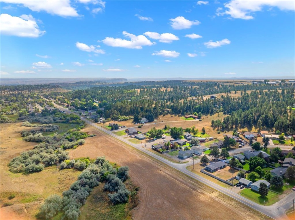 TBD Pine Tree Drive