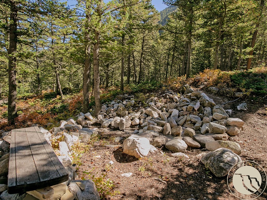 Wooded yard with a rocky dry creek bed, large boulders, and a short wooden walkway.