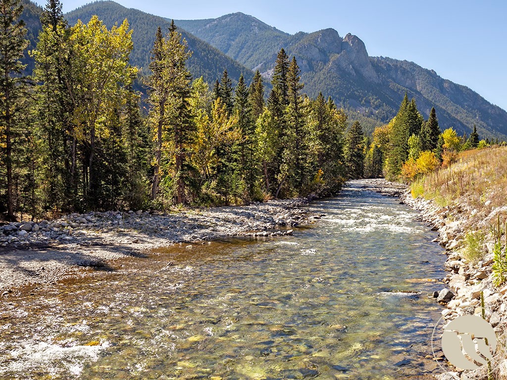 Rocky creek bordered by autumn trees, with forested mountains in the background.