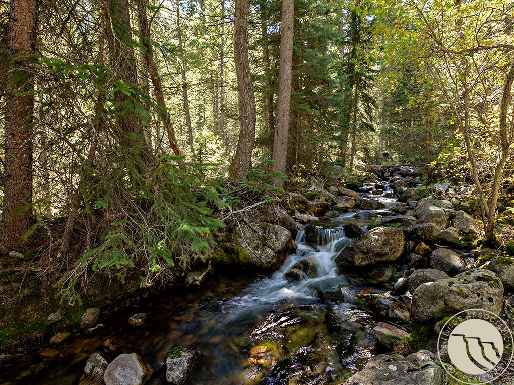 22 W Spring Creek