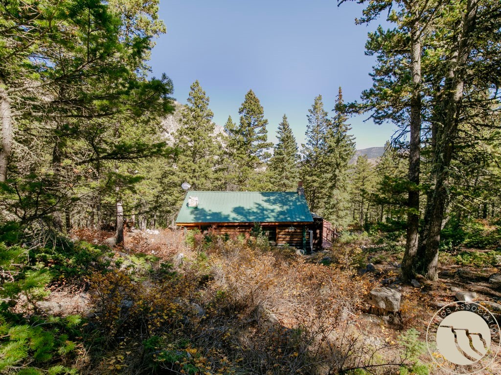 Log cabin with a green metal roof nestled among pines, with a mountain slope in the distance.