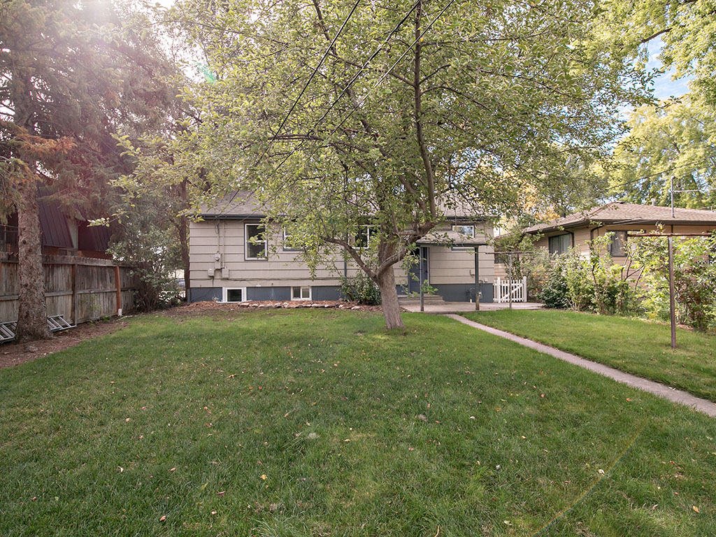 Rear of a beige house framed by a large tree, with a lawn and walkway.