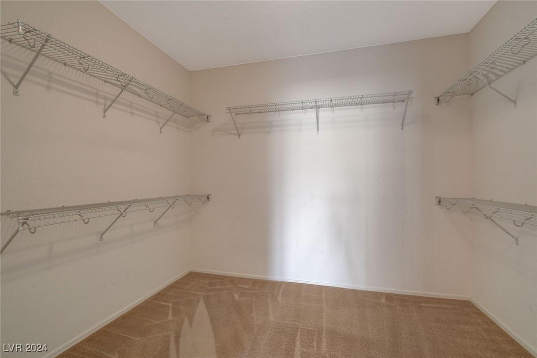 2609 Mourning Warbler Avenue