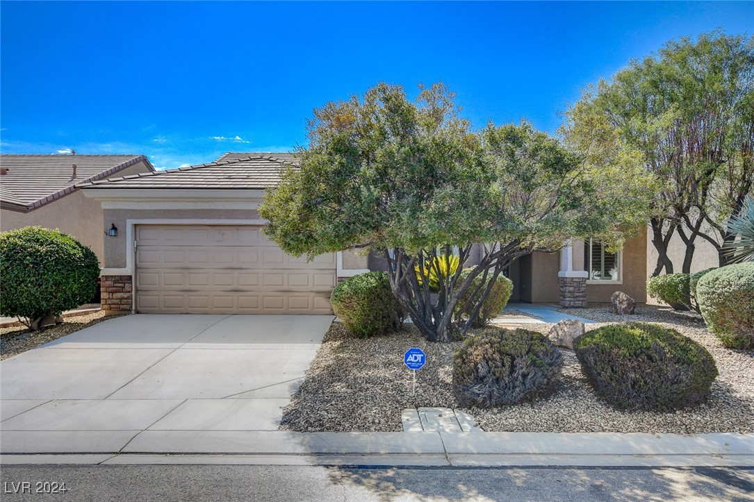 2609 Mourning Warbler Avenue