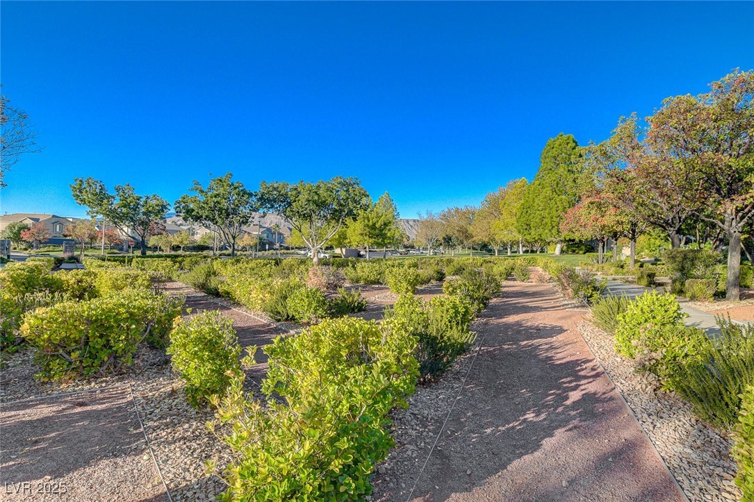 10397 Walking View Court