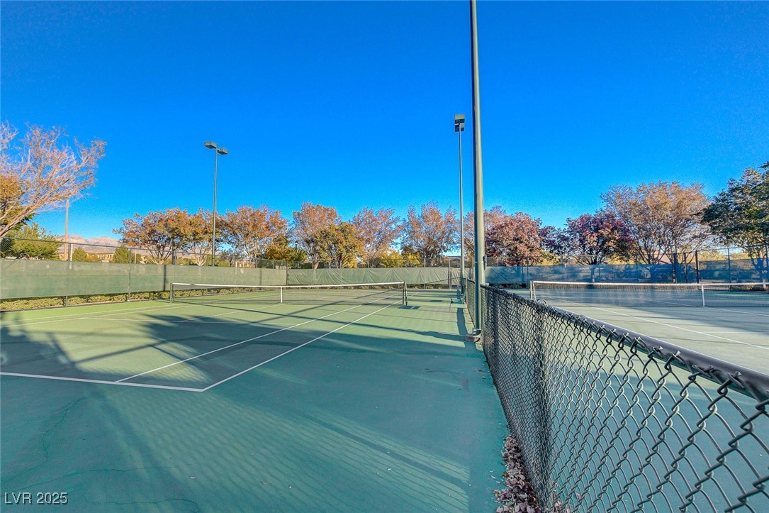 10397 Walking View Court